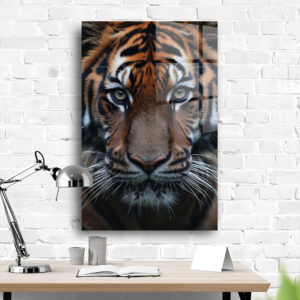 Tiger 2 - Animal Kingdom Collection