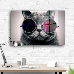 Cat Sunglasses  - Animal Kingdom Collection